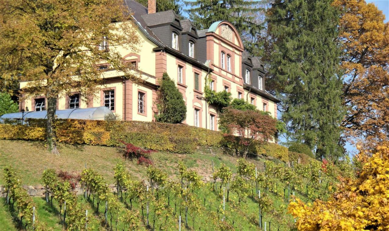 Wein Lodge Durbach - Josephsberg Kültér fotó