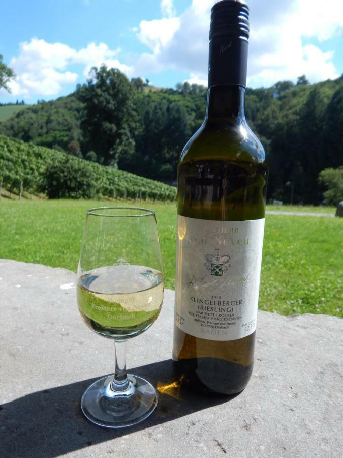 Wein Lodge Durbach - Josephsberg Kültér fotó